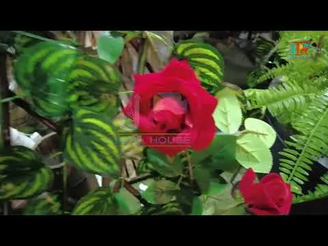 Phool Aur Paodun Ka Mela | JTR Media House